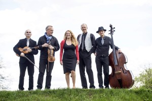 The String Company (25.7.2015)